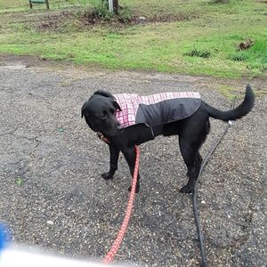 Meet your Posher, Anton